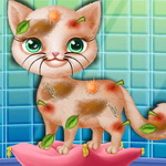 Little Elsa Save Stray Cat – Play & Rescue Adorable Pets